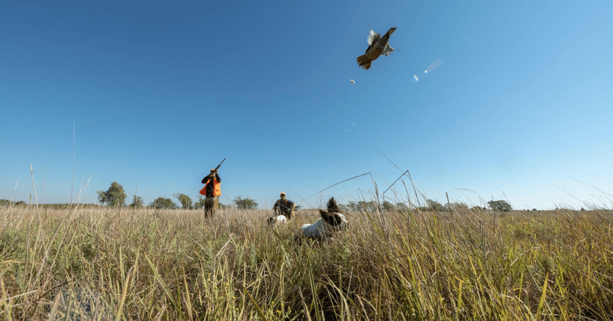 Featured Image for Three Mouth-Watering Wild Game Recipes to Try This Thanksgiving